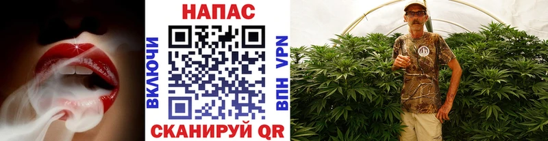 Бошки марихуана VHQ  цены   Луховицы 